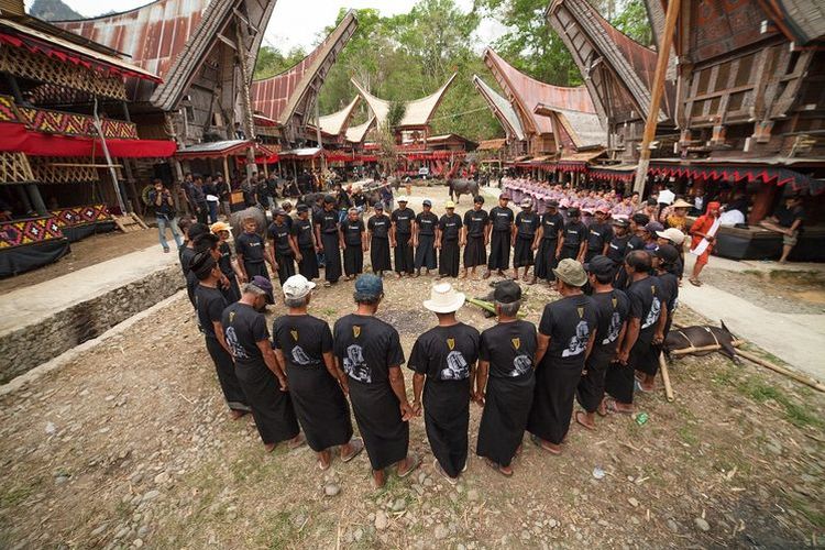 Tradisi Suku Toraja